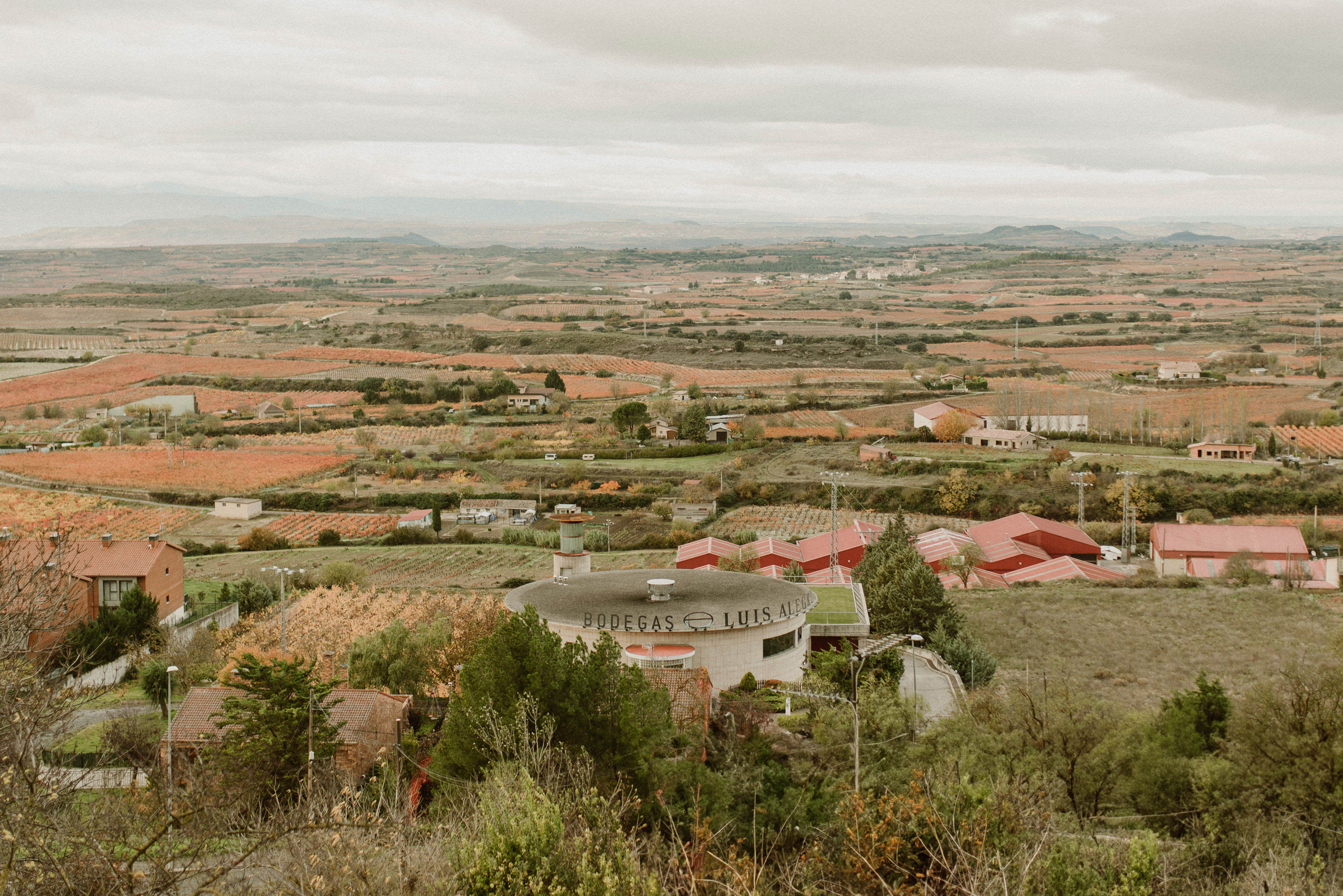 muriel wines marina palacios (3)