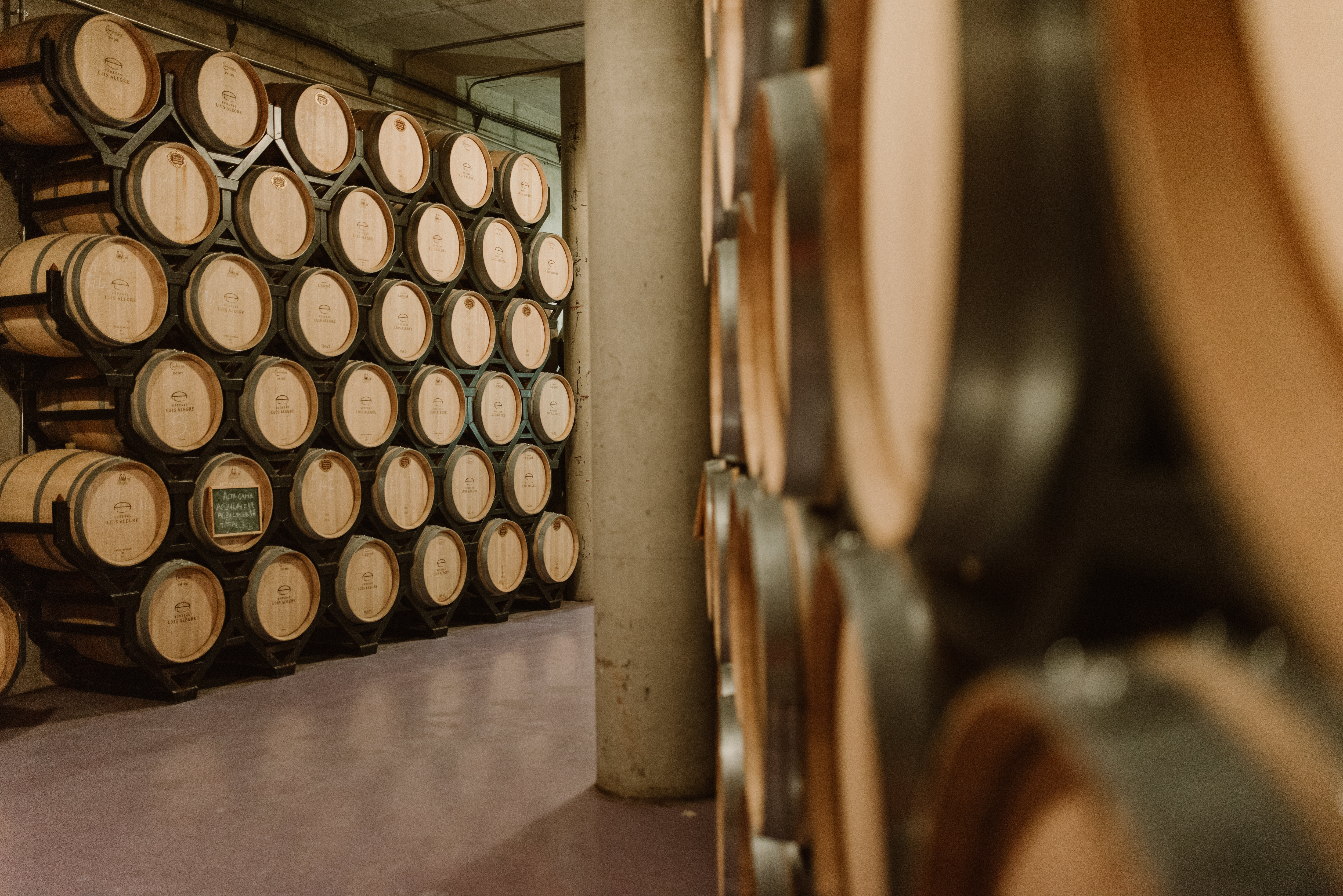 muriel wines marina palacios