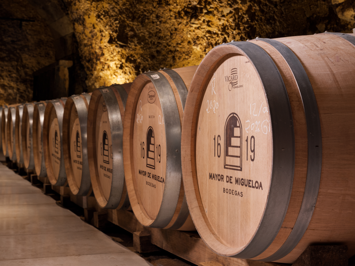 bodega-visitas-cata-laguardia-rioja-alavesa